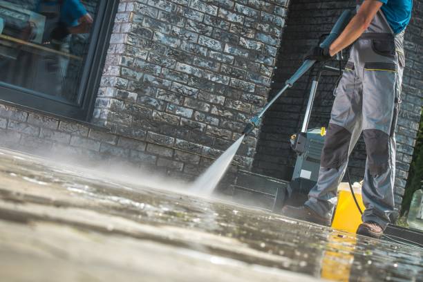 Best Gutter Cleaning  in Newberry, MI